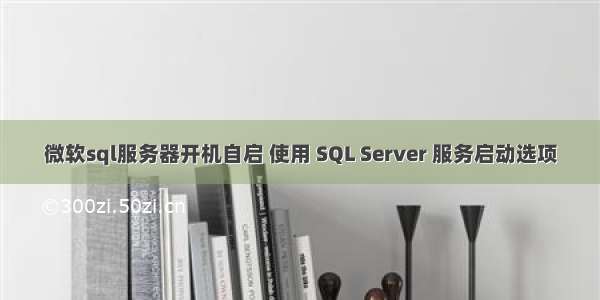 微软sql服务器开机自启 使用 SQL Server 服务启动选项