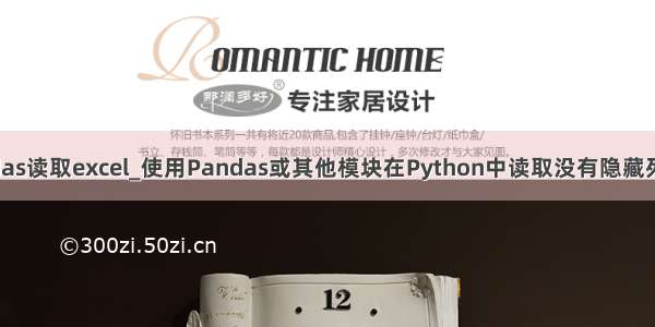 python用pandas读取excel_使用Pandas或其他模块在Python中读取没有隐藏列的Excel文件...
