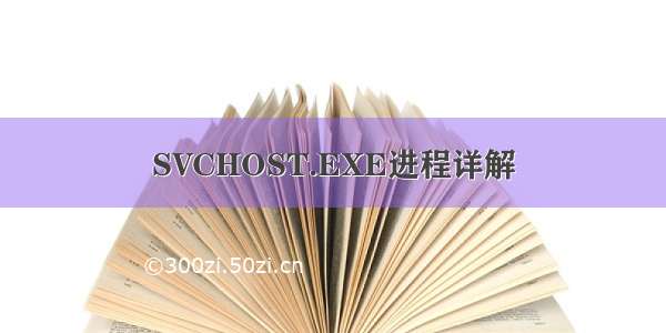 SVCHOST.EXE进程详解