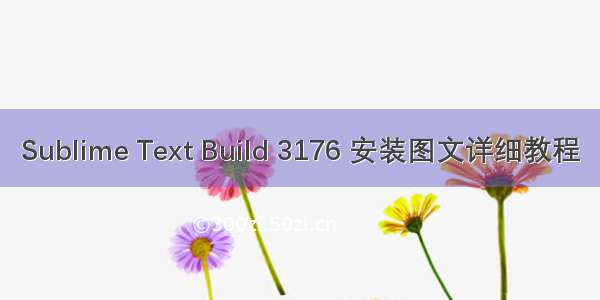 Sublime Text Build 3176 安装图文详细教程