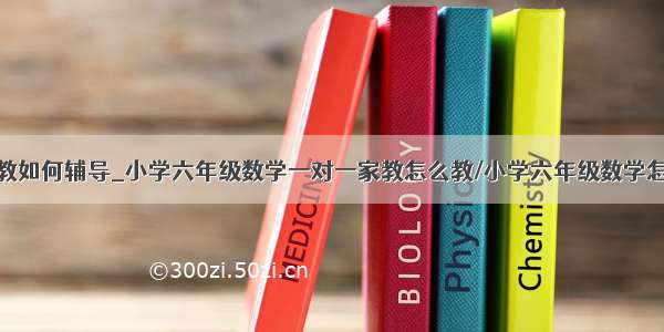 一对一家教如何辅导_小学六年级数学一对一家教怎么教/小学六年级数学怎样辅导...