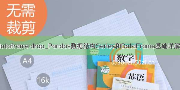 dataframe drop_Pandas数据结构Series和DataFrame基础详解