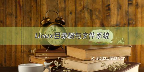 Linux目录树与文件系统