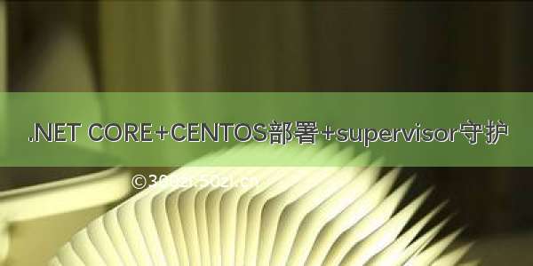 .NET CORE+CENTOS部署+supervisor守护