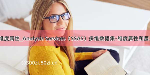ssas 维度属性_Analysis Services（SSAS）多维数据集–维度属性和层次结构