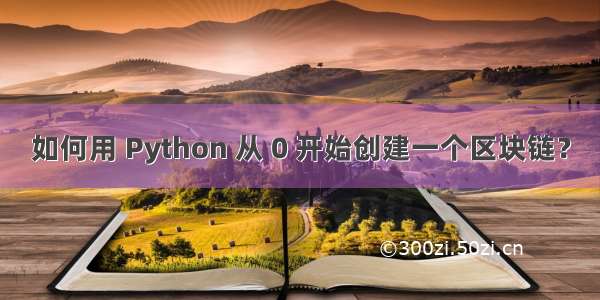 如何用 Python 从 0 开始创建一个区块链？