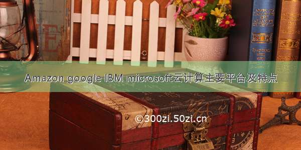Amazon google IBM microsoft云计算主要平台及特点