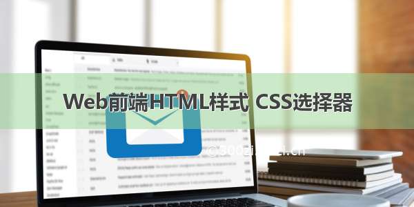 Web前端HTML样式 CSS选择器