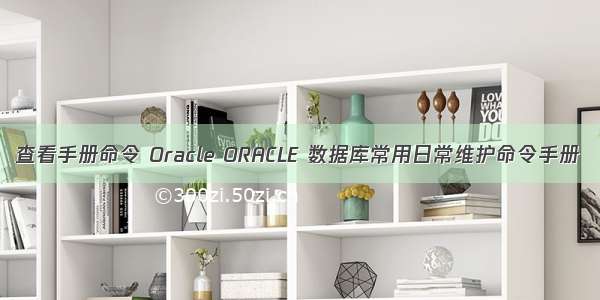 查看手册命令 Oracle ORACLE 数据库常用日常维护命令手册