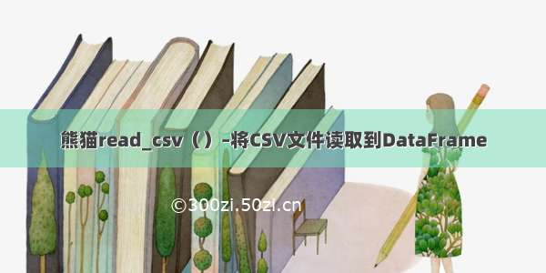 熊猫read_csv（）–将CSV文件读取到DataFrame