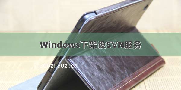 Windows下架设SVN服务