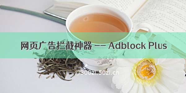 网页广告拦截神器 -- Adblock Plus