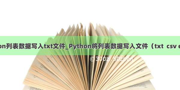 python列表数据写入txt文件_Python将列表数据写入文件（txt  csv excel）
