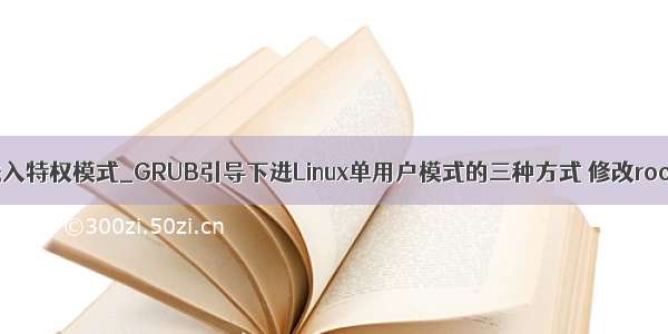 shell进入特权模式_GRUB引导下进Linux单用户模式的三种方式 修改root密码