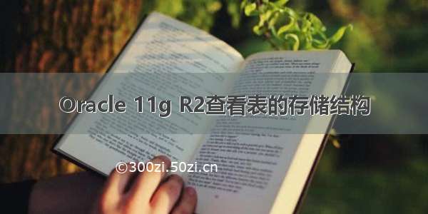 Oracle 11g R2查看表的存储结构