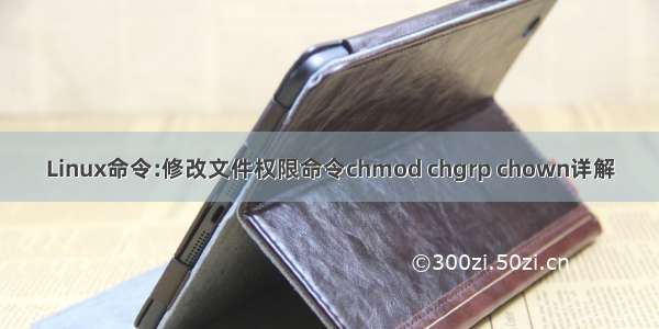 Linux命令:修改文件权限命令chmod chgrp chown详解