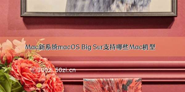 Mac新系统macOS Big Sur支持哪些Mac机型