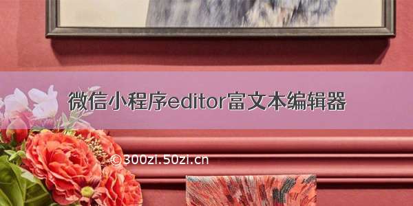 微信小程序editor富文本编辑器