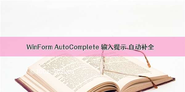 WinForm AutoComplete 输入提示 自动补全