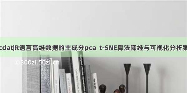 拓端tecdat|R语言高维数据的主成分pca  t-SNE算法降维与可视化分析案例报告