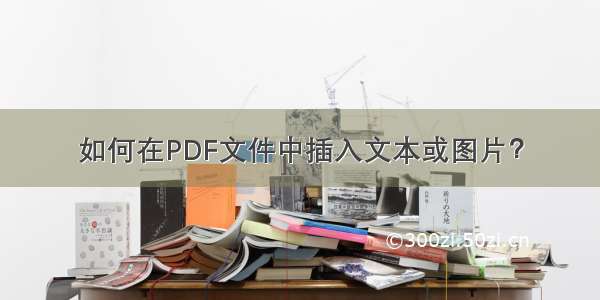 如何在PDF文件中插入文本或图片？