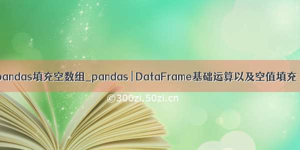 pandas填充空数组_pandas | DataFrame基础运算以及空值填充