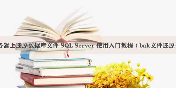 如何在服务器上还原数据库文件 SQL Server 使用入门教程（bak文件还原数据库）...