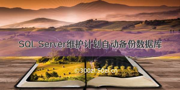 SQL Server维护计划自动备份数据库