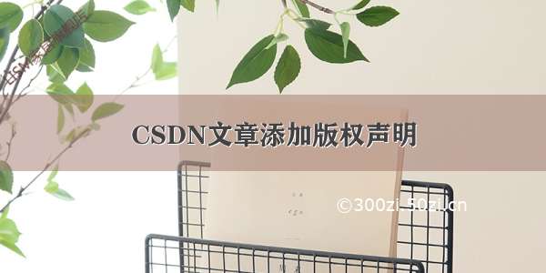 CSDN文章添加版权声明