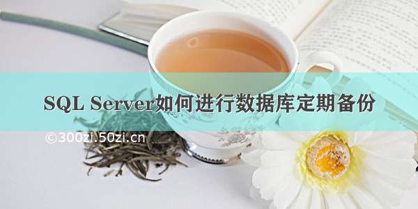 SQL Server如何进行数据库定期备份