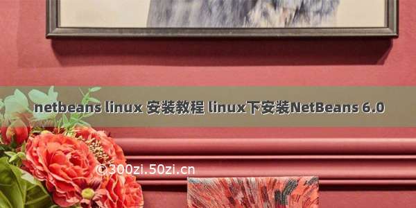 netbeans linux 安装教程 linux下安装NetBeans 6.0