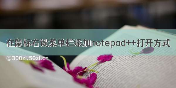 在鼠标右键菜单栏添加notepad++打开方式