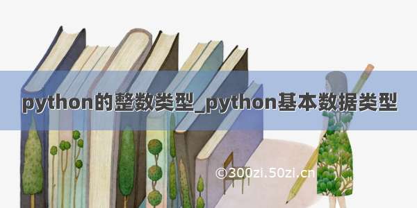 python的整数类型_python基本数据类型