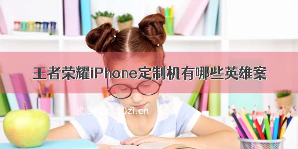 王者荣耀iPhone定制机有哪些英雄案