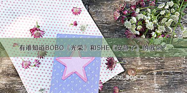 有谁知道BOBO《光荣》和SHE《安静了》的歌词？