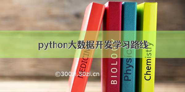 python大数据开发学习路线