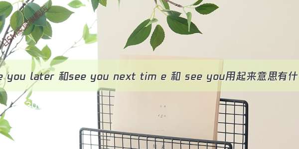 see you again 和 see you later 和see you next tim e 和 see you用起来意思有什么不一样？什么区别？