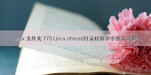 linux 文件夹 775 Linux chmod目录权限命令图文详解