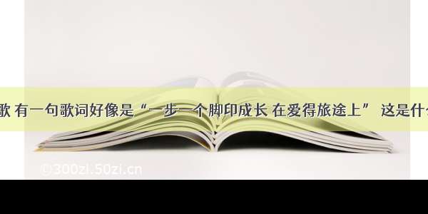 有一首歌 有一句歌词好像是“一步一个脚印成长 在爱得旅途上” 这是什么歌啊？