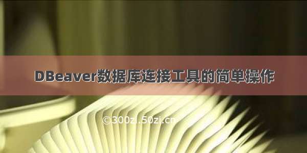 DBeaver数据库连接工具的简单操作