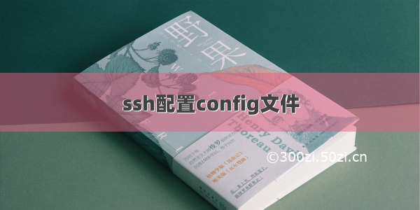 ssh配置config文件