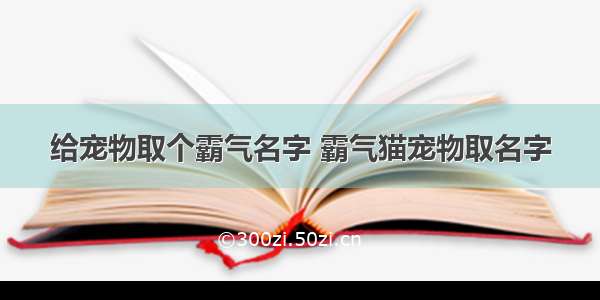 给宠物取个霸气名字 霸气猫宠物取名字