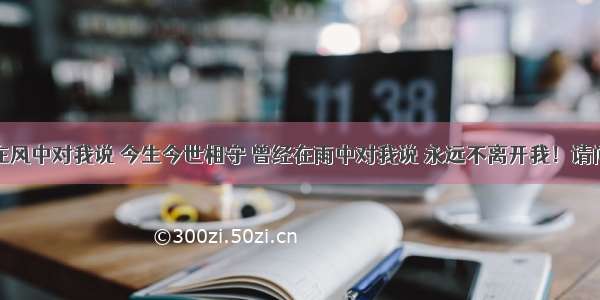 歌词：曾经在风中对我说 今生今世相守 曾经在雨中对我说 永远不离开我！请问歌名叫什么