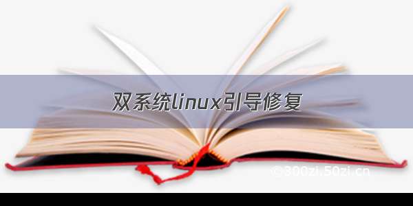 双系统linux引导修复