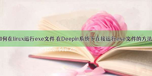 如何在linux运行exe文件 在Deepin系统下直接运行exe文件的方法