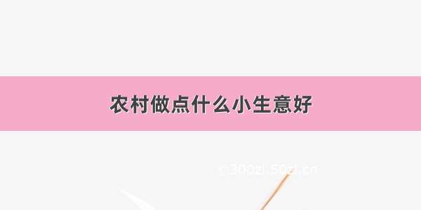 农村做点什么小生意好