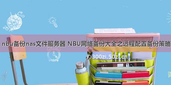 nbu备份nas文件服务器 NBU网络备份大全之远程配置备份策略