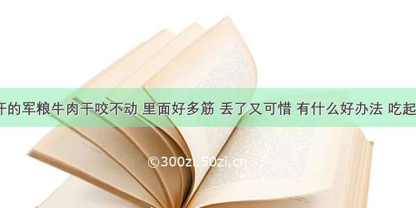 成吉思汗的军粮牛肉干咬不动 里面好多筋 丢了又可惜 有什么好办法 吃起来方便？