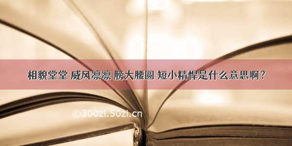 相貌堂堂 威风凛凛 膀大腰圆 短小精悍是什么意思啊？