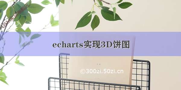 echarts实现3D饼图